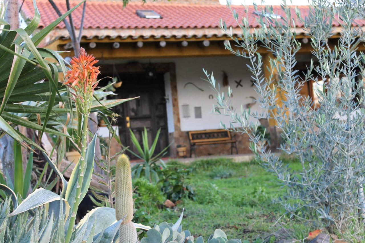 Casa Rural La Coscoja Mérida Exterior foto