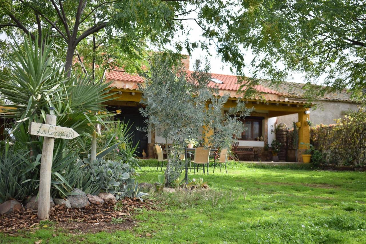 Casa Rural La Coscoja Mérida Exterior foto